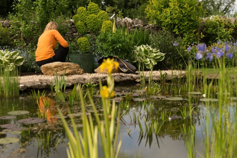 Our New Year resolution:do more gardening