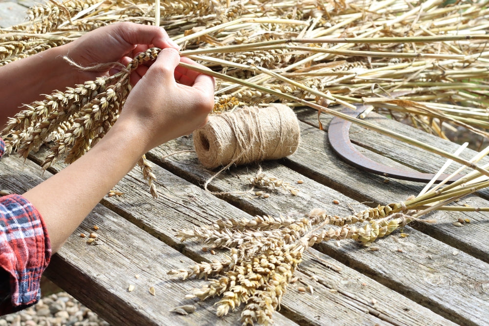 Plant folklore - corn dollies