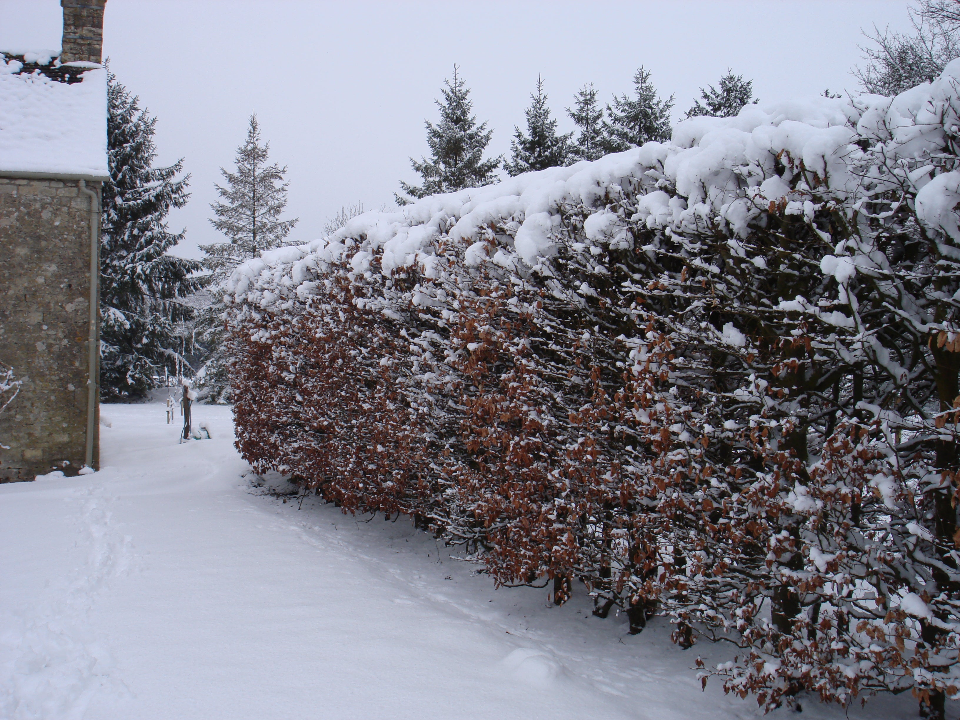 First snow