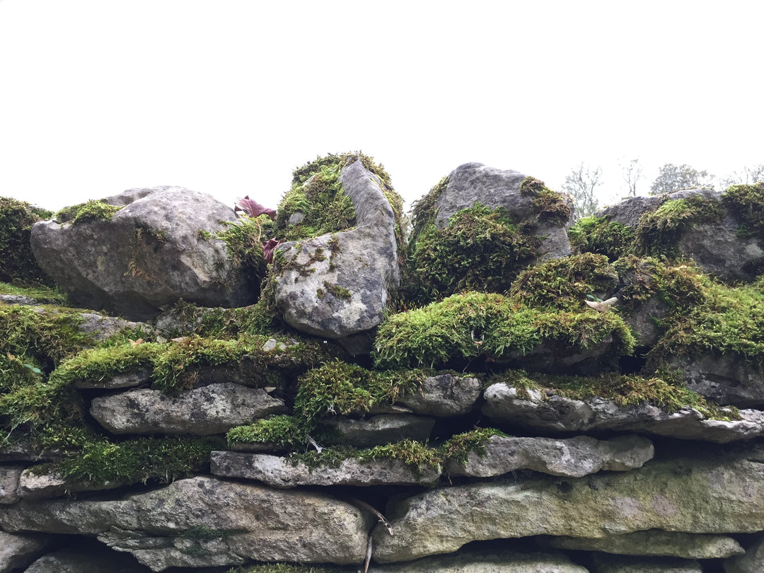 Dry stone walls