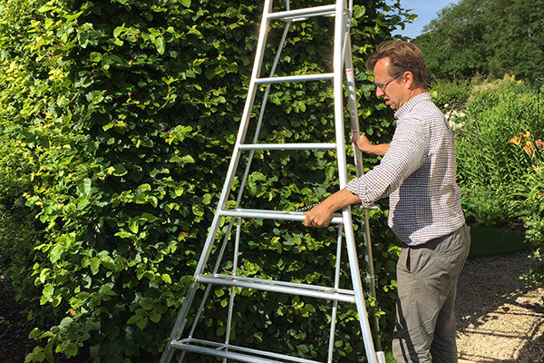 Technology in the garden - Tripod ladder knowhow