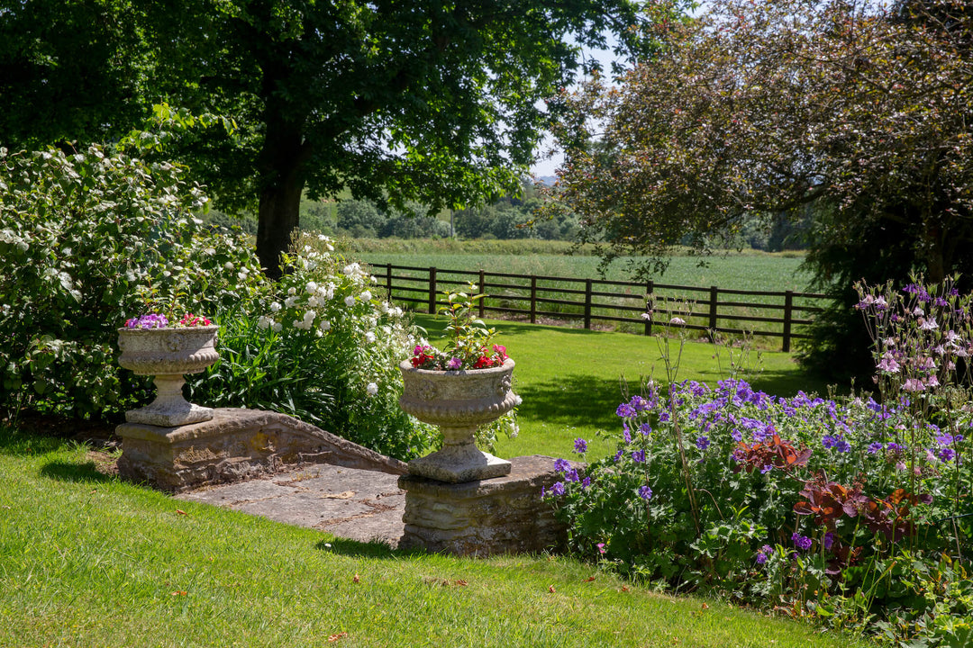 The Garden Near Bridgnorth