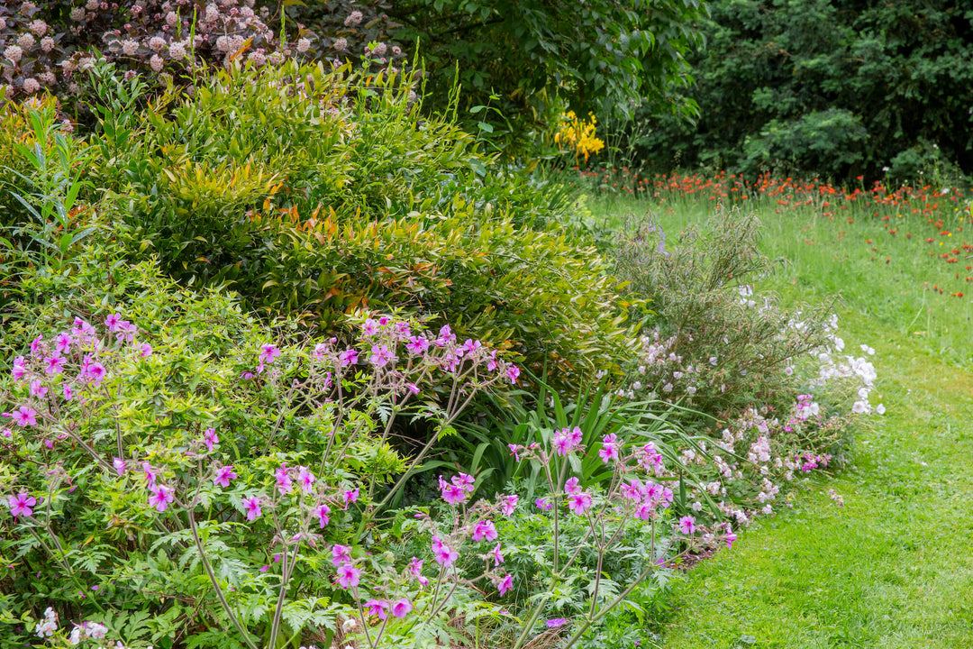 The Garden off the High Street