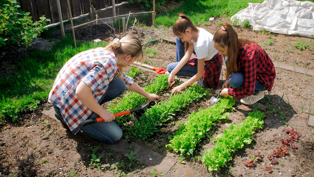 Memories of Gardening with my Mother