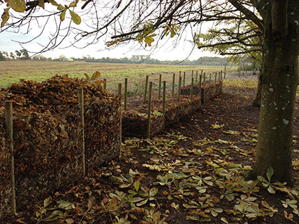 November means leaves