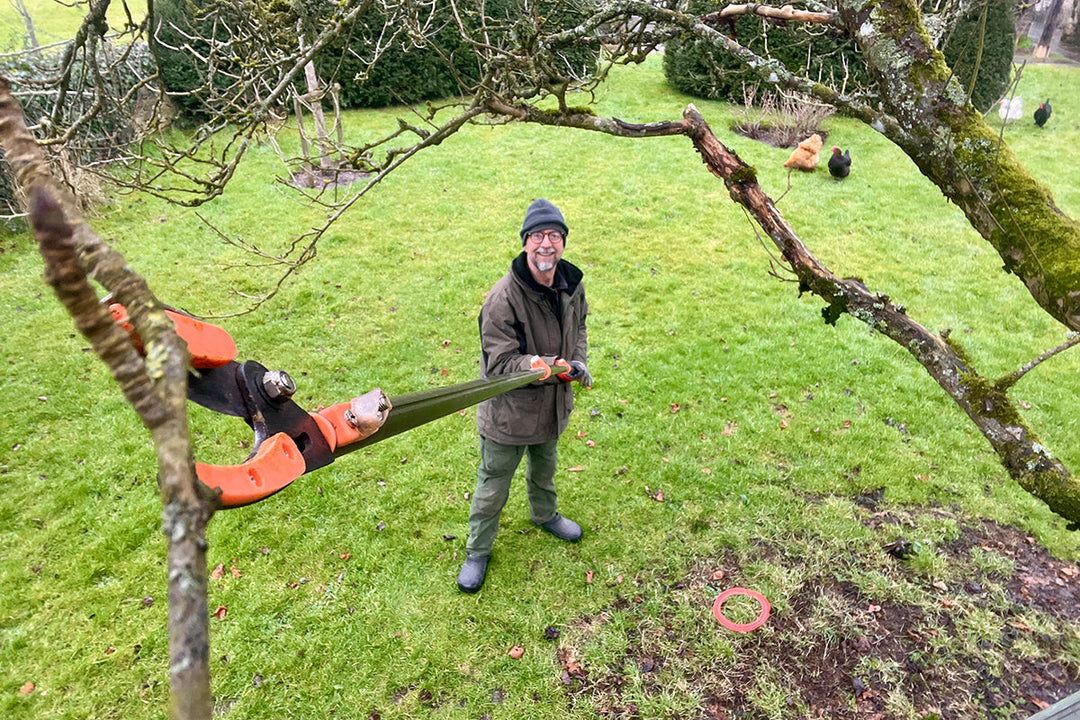 Far reaching - extendable pruner saves the day