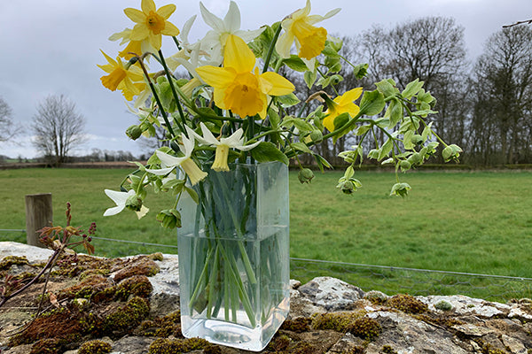 Cut flower corner - spring is in the air