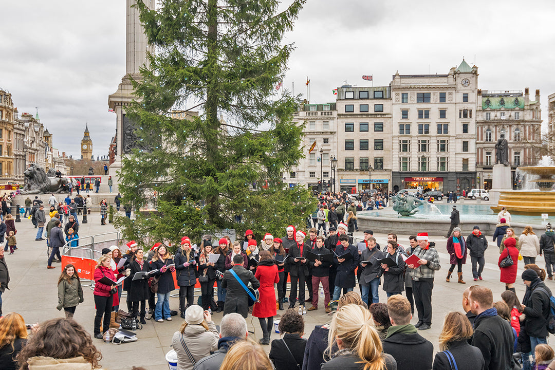 Exceptional trees - Trafalgar Square Christmas Tree